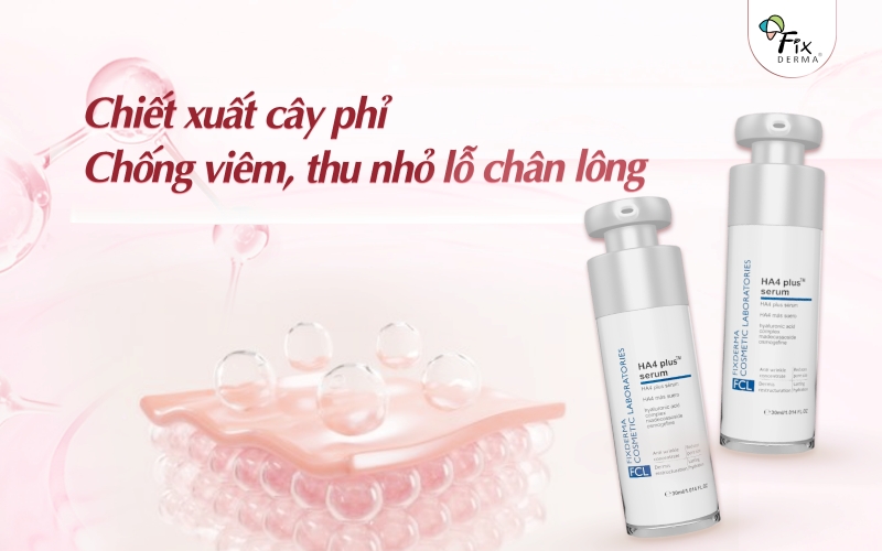 serum-cap-am-fcl-ha4-plus-serum-3-2 Chống viêm, thu nhỏ lỗ chân lông cùng chiết xuất cây phỉ